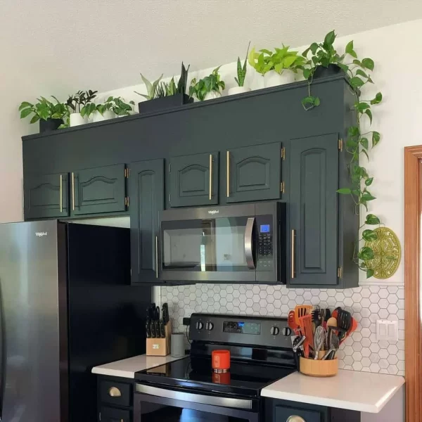 Elevate Your Kitchen Decor with Above Cabinet Decor